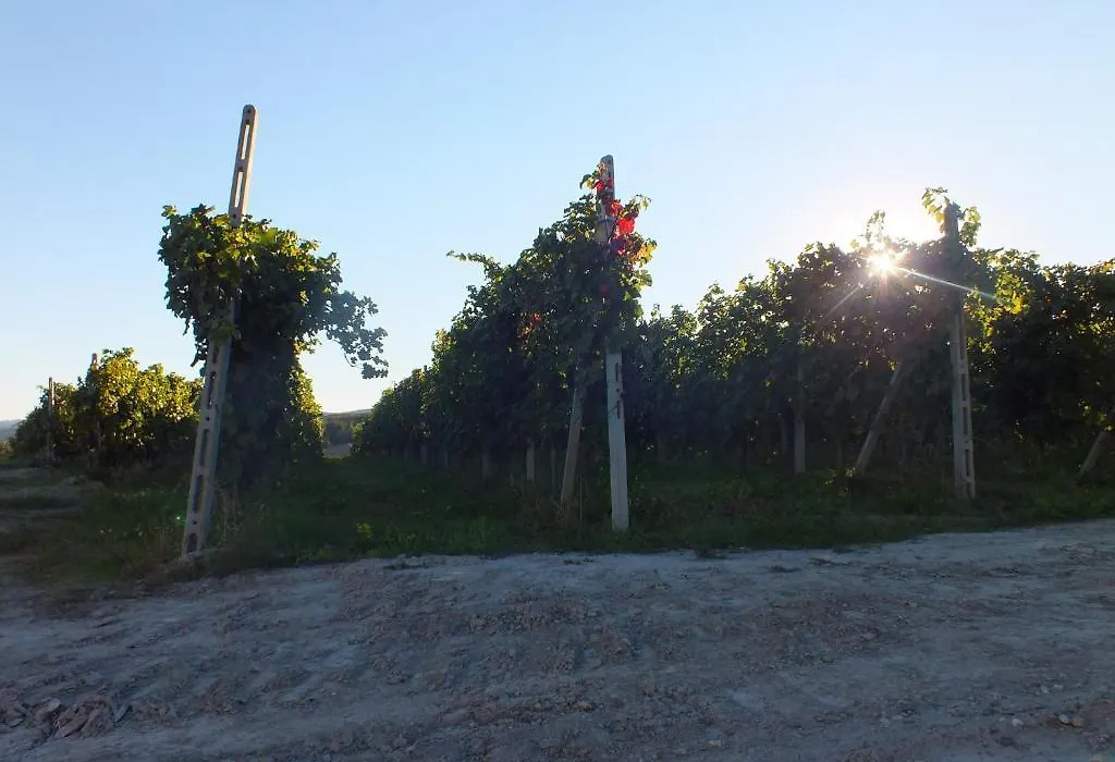 Enolocanda Del Tufo-1